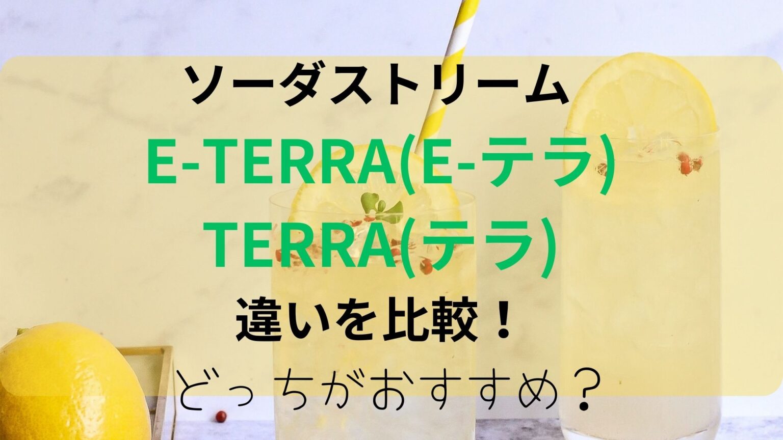 E-TERRA(E-テラ)とTERRA(テラ)の違いを比較！どっちがおすすめ？のアイキャッチ画像